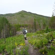 Lake Creek Trail