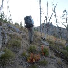 Climbing Up
