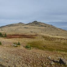 4wd Trail up Yogo Peak