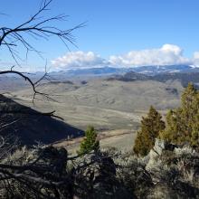 Views to SW