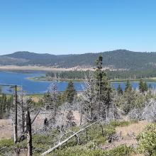 Dog Lake