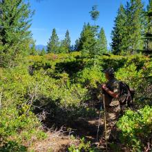 Summit bushwhack
