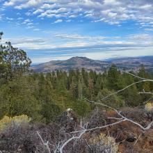 The view from Barry Point toward Dog Mountain