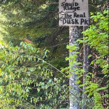way point sign. I parked here