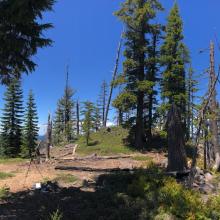 McGowan Mountain Summit