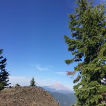 Summit view of Mt Hood