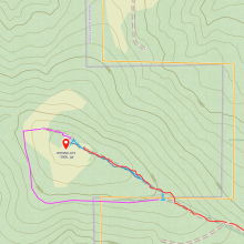 Orange line is Stimpson property line