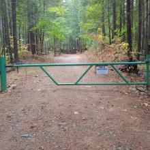 Gate in 2020