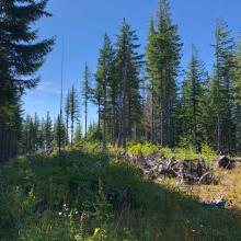The Summit Area