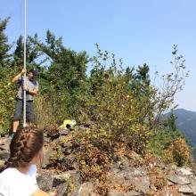 Nearly QRV