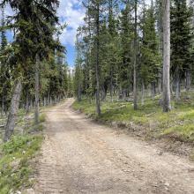 Typical Road surface to Anderson Mountain