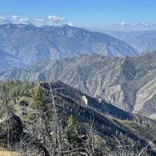 Typical summit view into Owl Creek and the Salmon River. Steep!