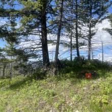 Indian Ridge Summit