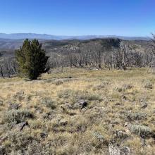 Summit View to Southwest