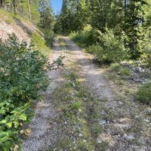 Hiking the closed road to the Lookout