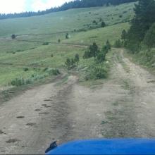 Fork in the Road #1