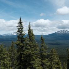 View from Williamson Mountain