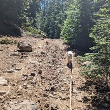 Rock hazard on road