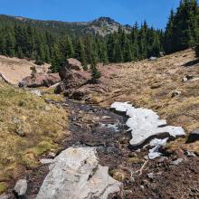 Filtered water before returning to the PCT