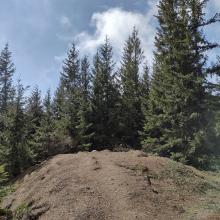 Mount Zion Summit