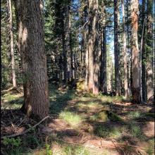 Summit area Cap Peak