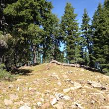 Miller Mt. Summit