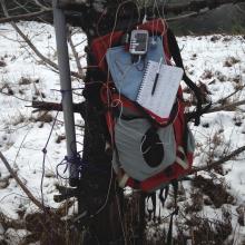 Station-in-a-tree