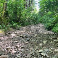 Hike road condition