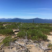 On the summit