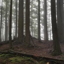 Summit