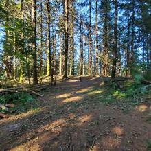 Summit area