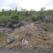 After 1.6 miles, I went off trail up this rock area...summit is ~100 feet away