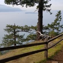 Lookout