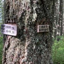 Intersection with PCT
