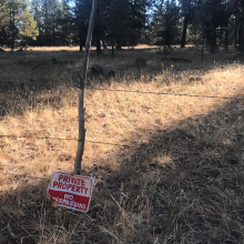 Fallen sign