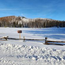 The Meadow